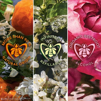 125ML Guerlain Absolus Allegoria Mandarine Basilic Eau de Parfum Spray Gift Set  5 of 5 