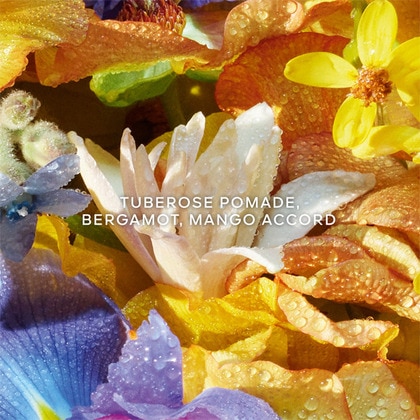 50ML Guerlain Absolus Allegoria Florabloom Hand Cream  5 of 5 