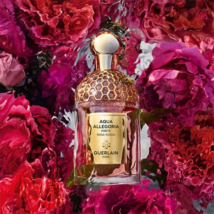 Guerlain Aqua Allegoria Rosa Rossa Forte Eau de Parfum Spray The Perfume Shop