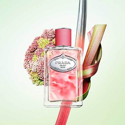 100ML Prada Les Infusion de Rhubarbe Eau de Parfum Spray  3 of 4 