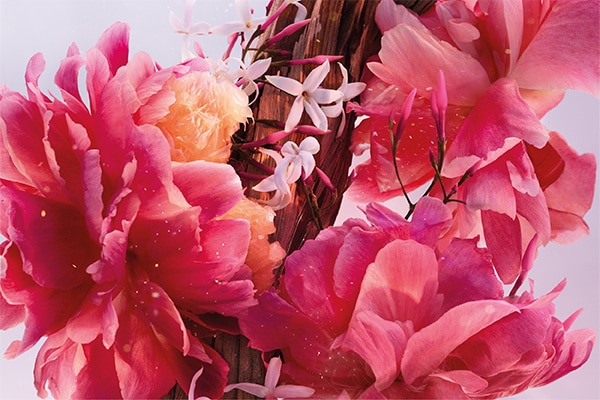 Miss dior parfum ingredients visual