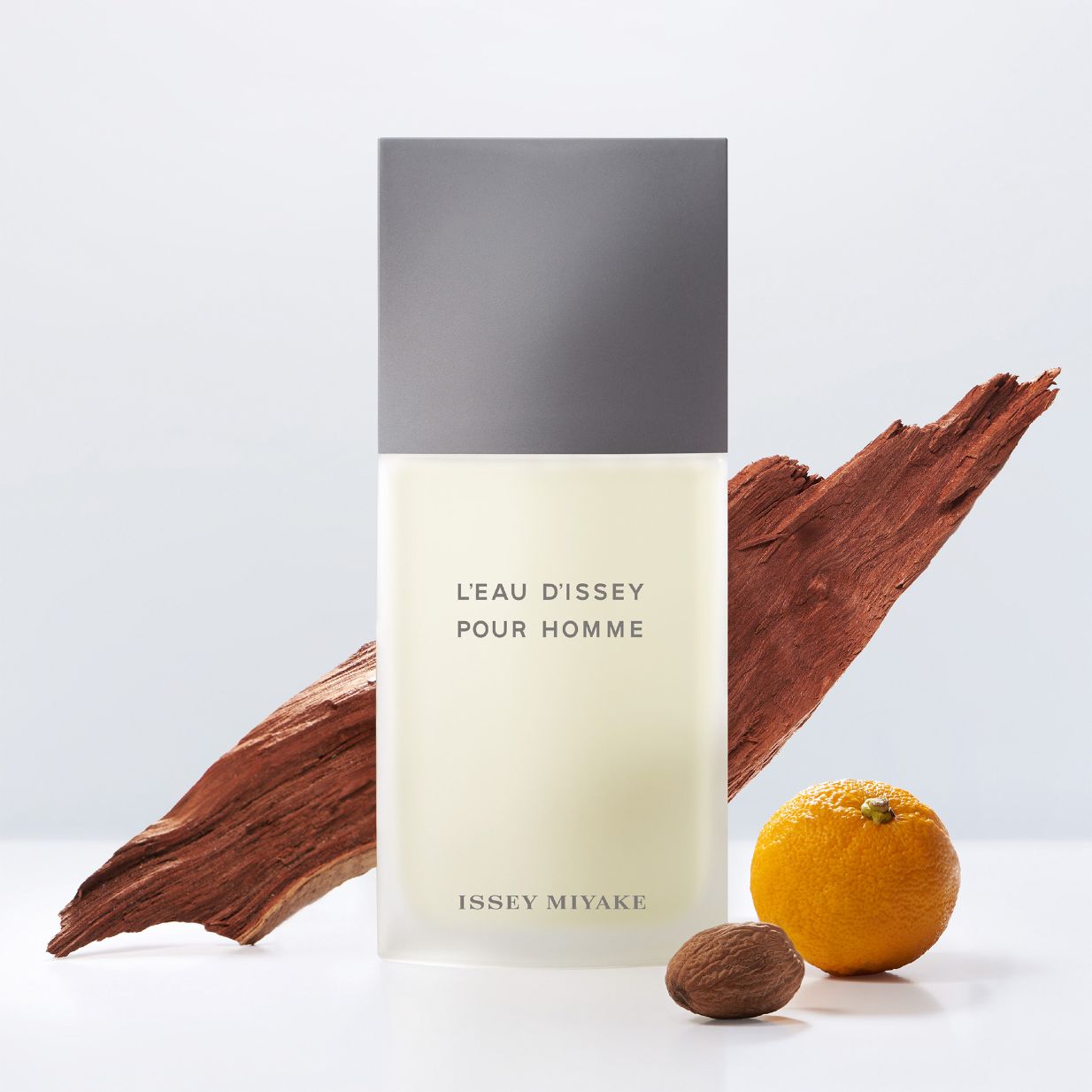 L’eau d’issey pour homme