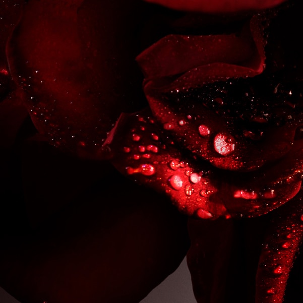 rose tile image