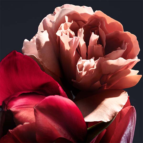 floral bouquet