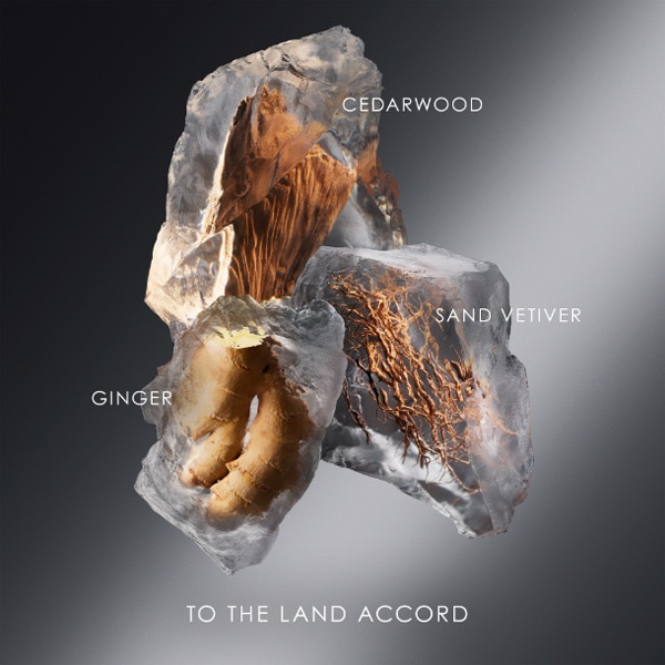 Issey Miyake Le Sel d'Issey Eau de Toilette