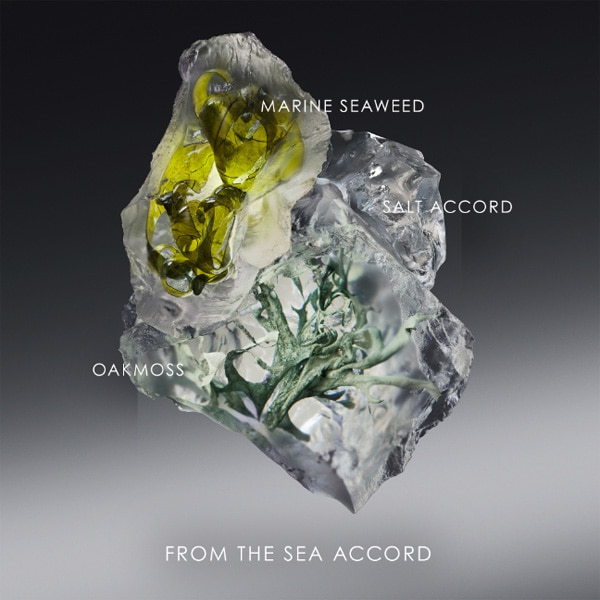 Issey Miyake Le Sel d'Issey Eau de Toilette