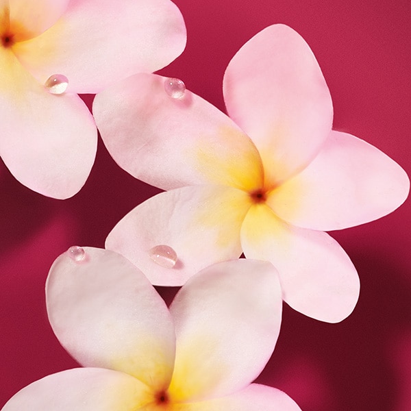 Emporio Armani Power Of You