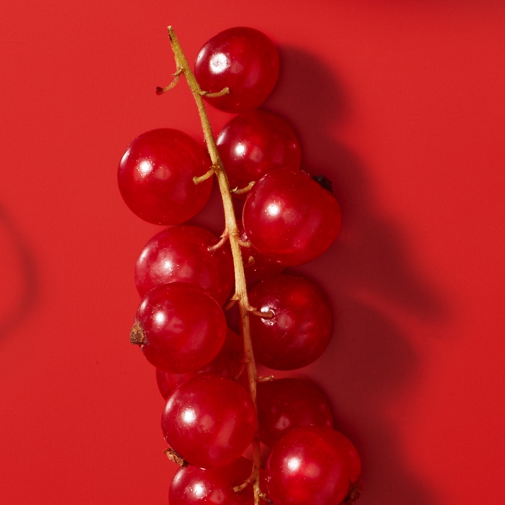 Redcurrant lifestyle