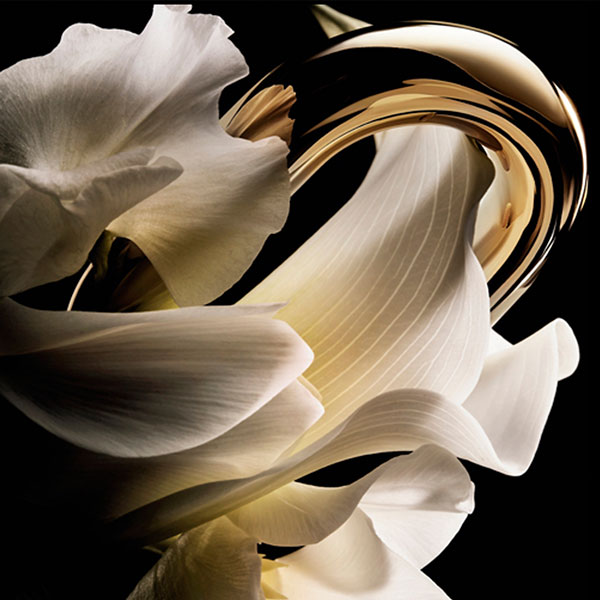 jasmine
