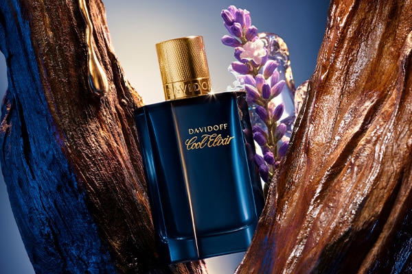 THE SCENT