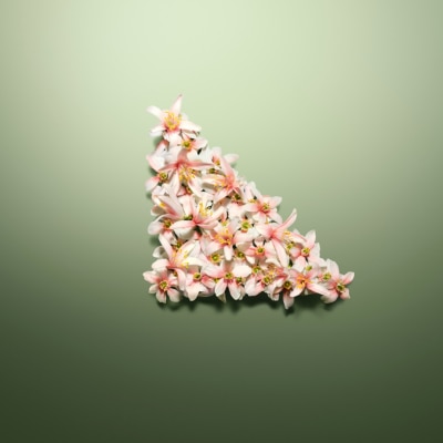 Image of flower petals arranged in the shape of a triangle on a green background