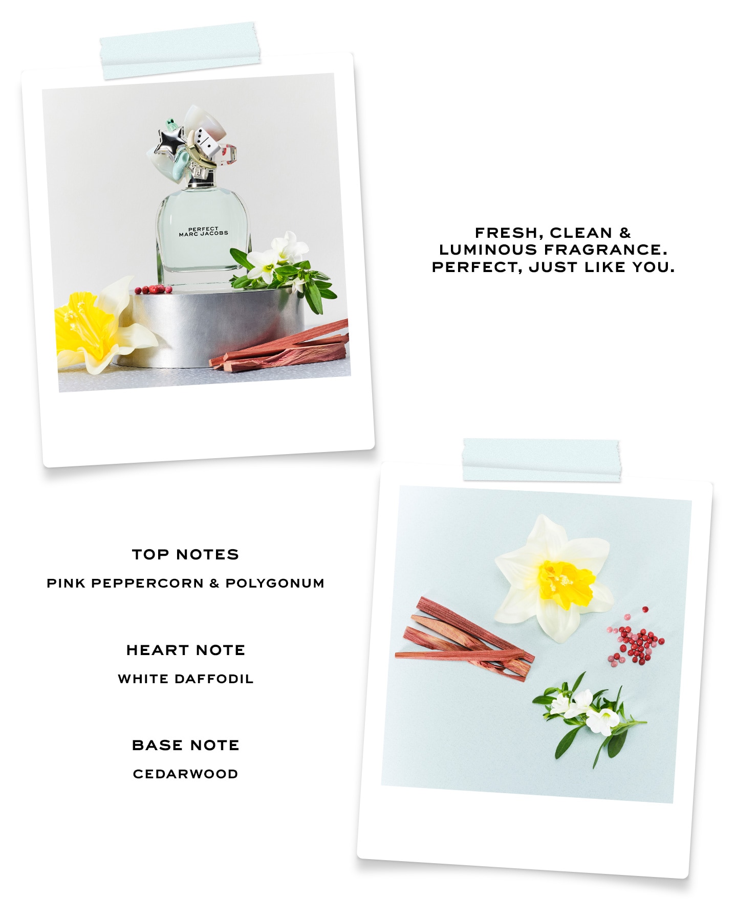 Marc Jacobs Perfect EDT Ingredients