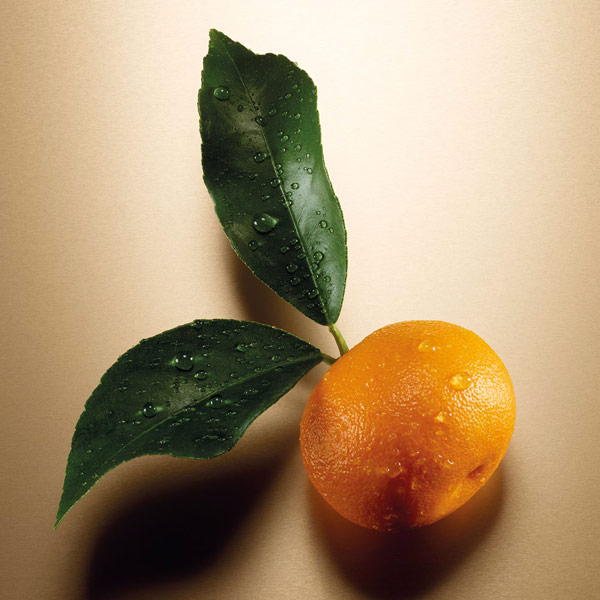 Mandarin, Pink Peppercorn and Black Currant.