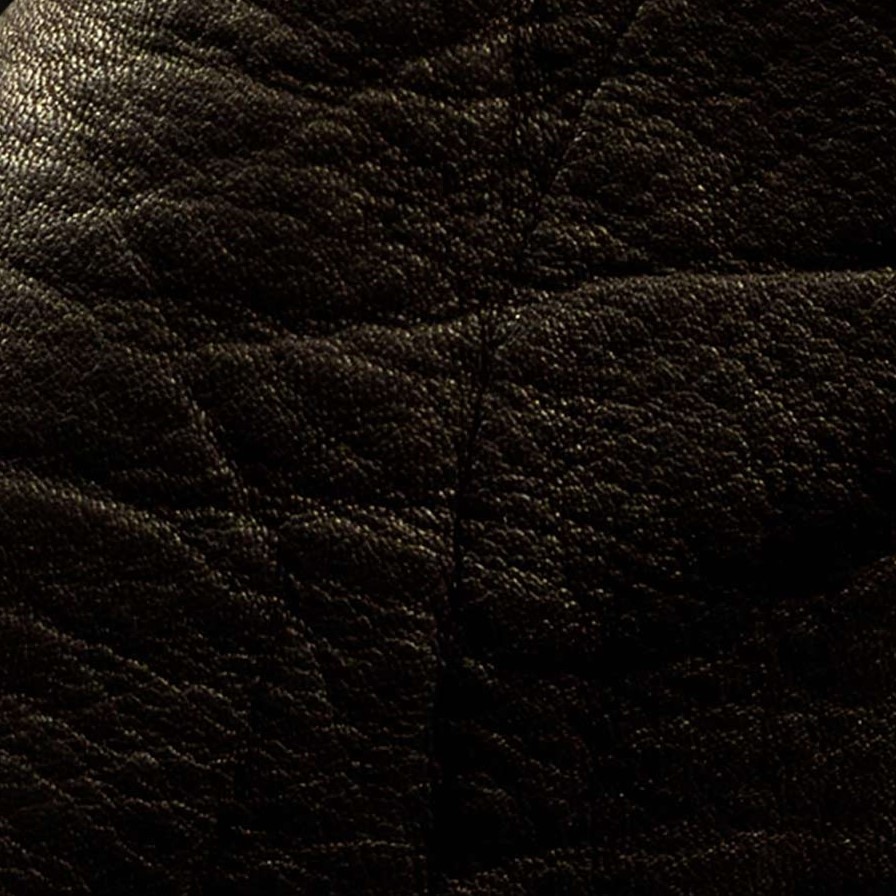 Leather lifestyle imagery