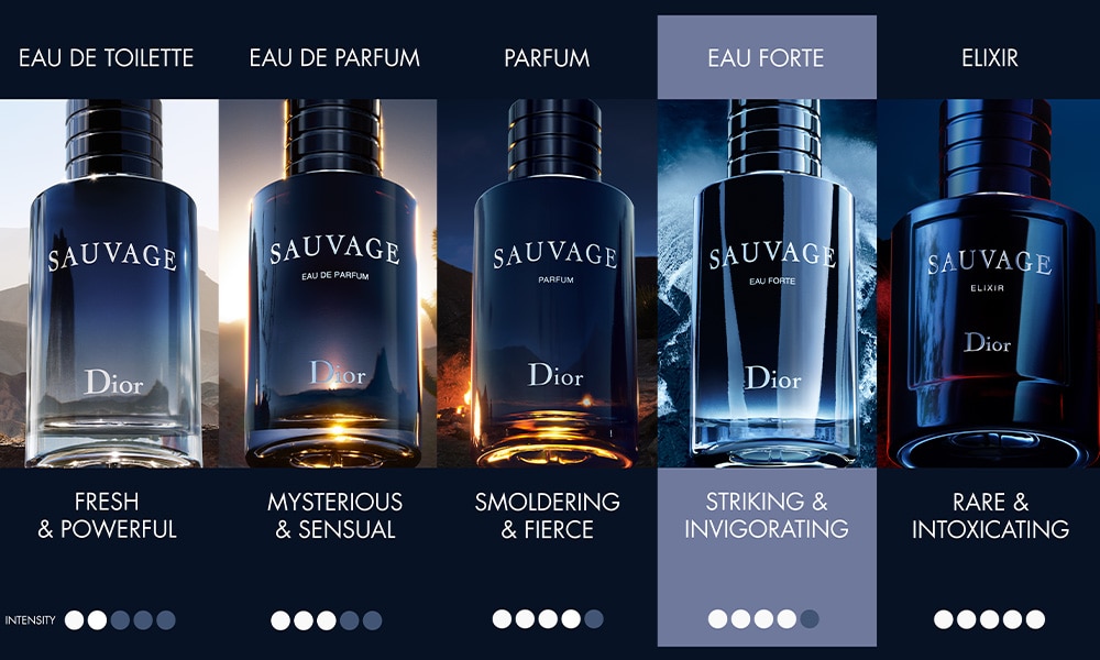 Sauvage comparison chat