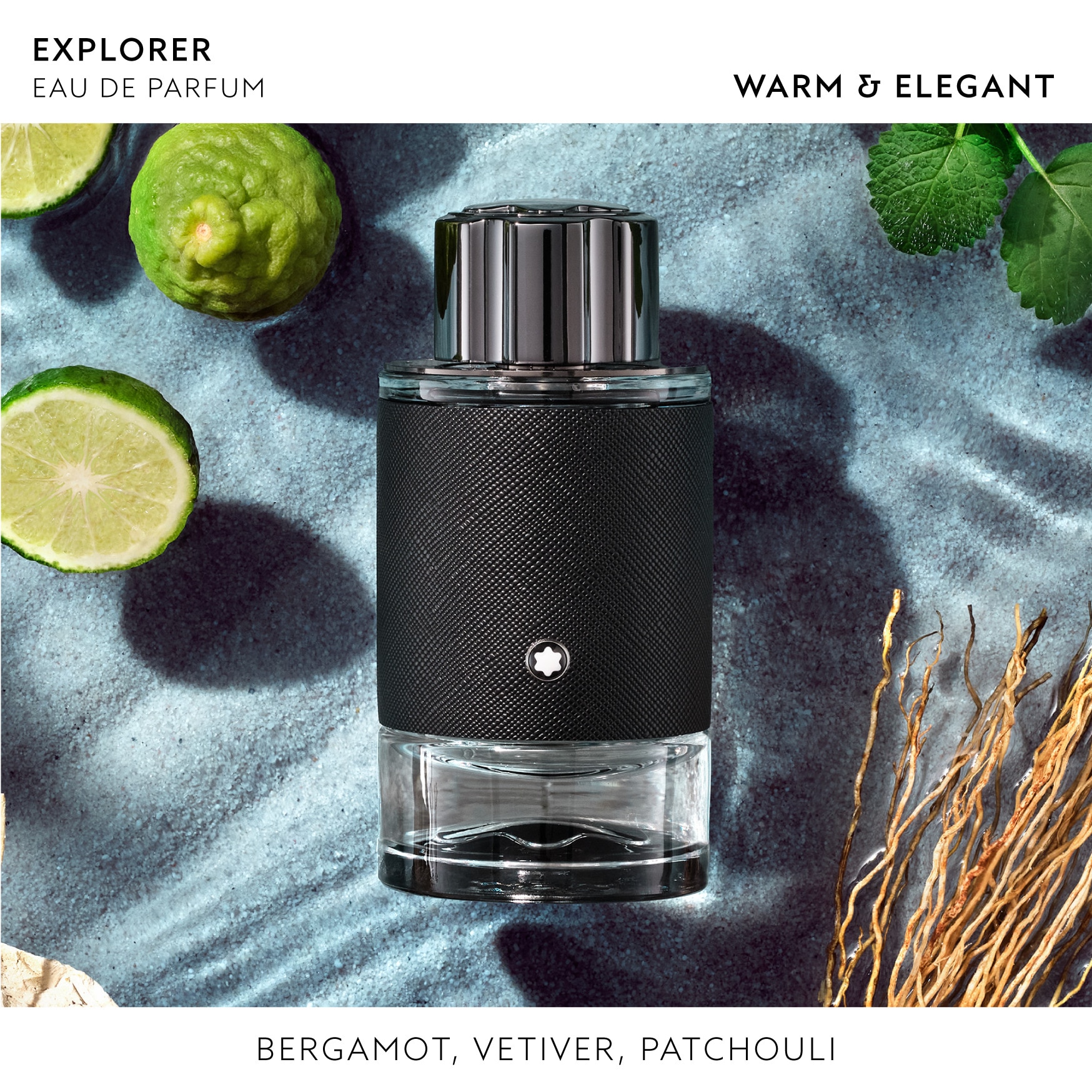 Montblanc explorer logo