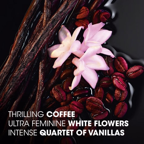 black opium ingredients