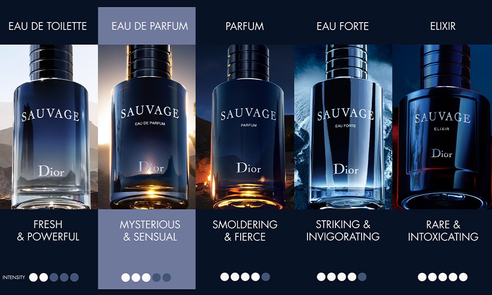 Sauvage comparison chat