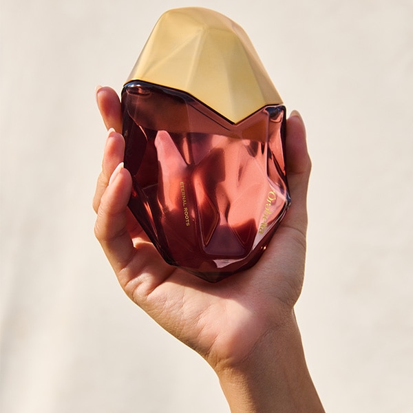 <center>TRANSFORMATIVE BI-PHASE <br>FORMULA</center>