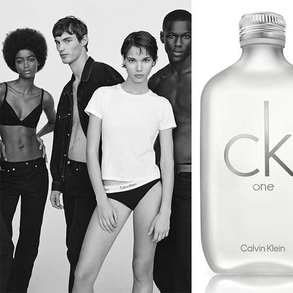 calvin klein collection