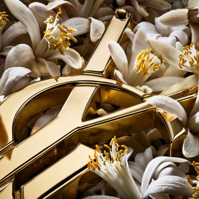 Image of part of the Yves Saint Laurent logo with ingredients