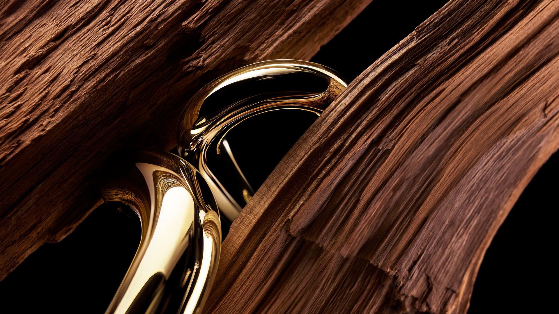 image of sandalwood