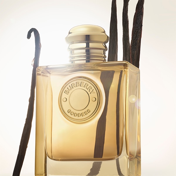 Burberry goddess intense heart note