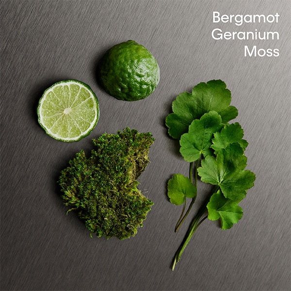 Eternity for him ingredients - bergamot, geranium, moss