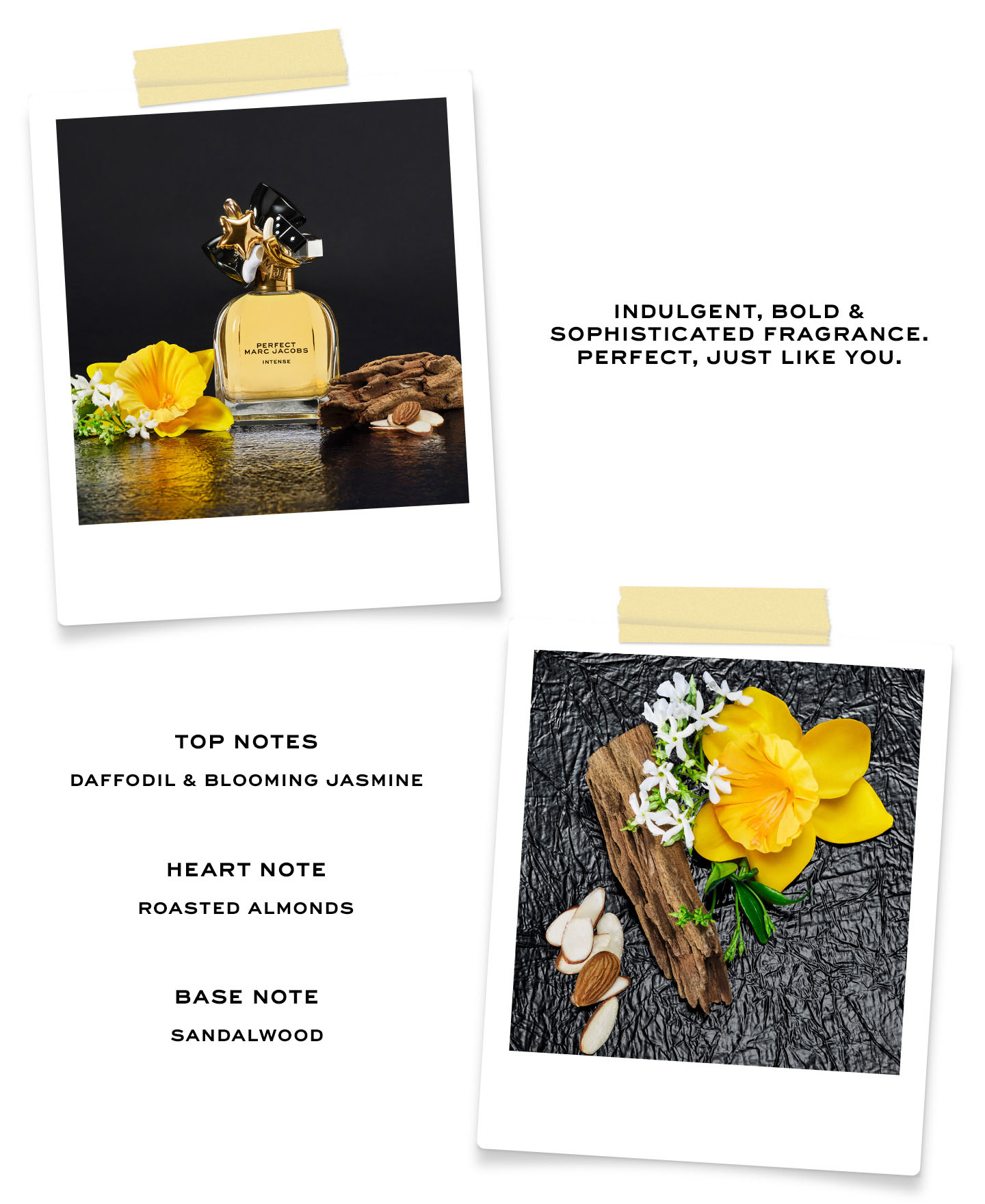 Perfect Intense Ingredients