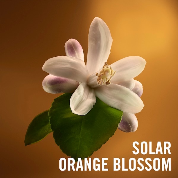 Zadig & Voltaire - ZADIG Intense