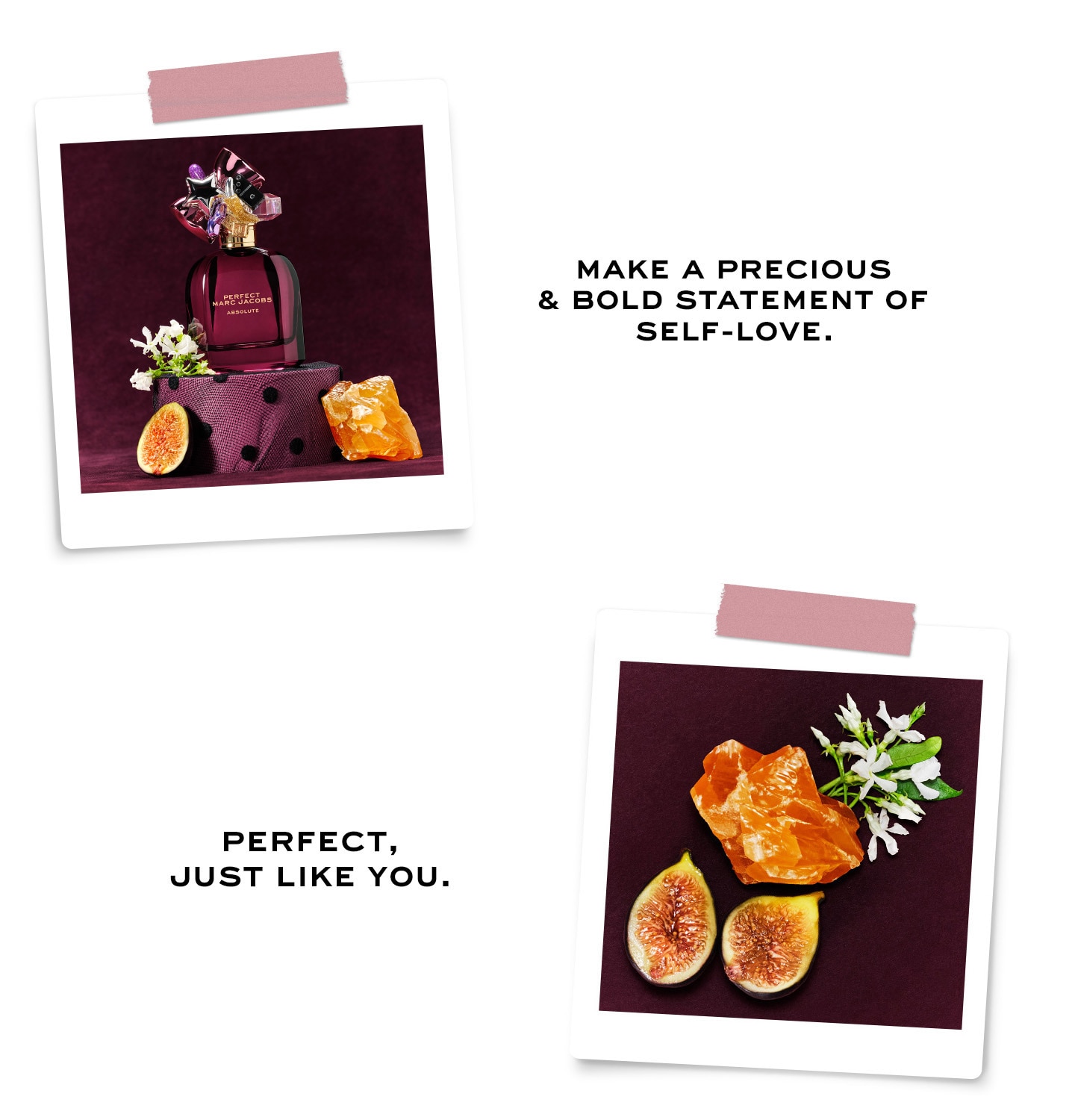 Perfect Absolute Ingredients