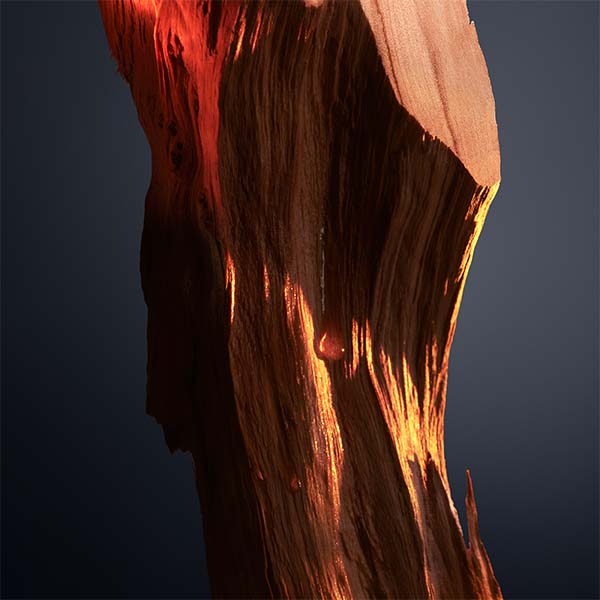 cedarwood image