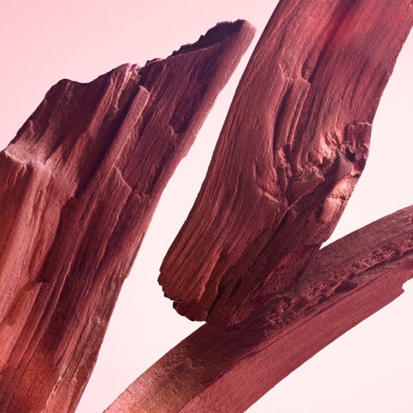 Narciso Rodriguez All Of Me au de Parfum Refill