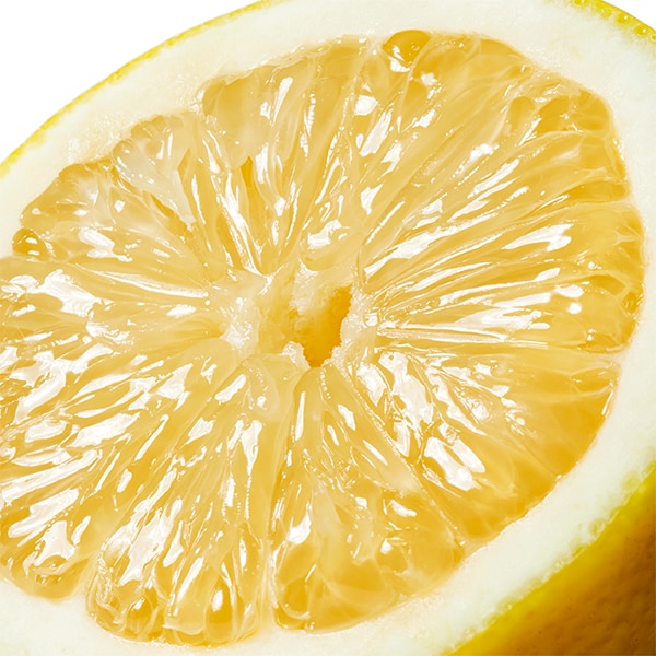 CK Essence top note - blood orange