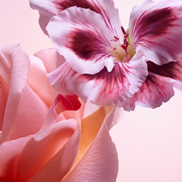 Narciso Rodriguez All Of Me au de Parfum Refill