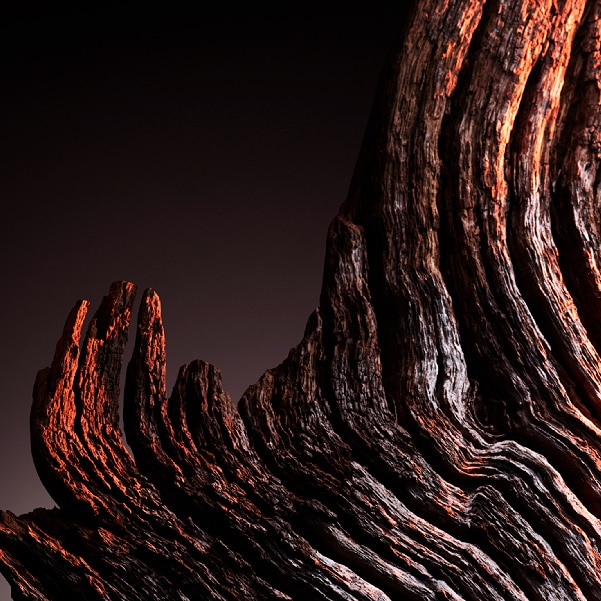 smokey cedarwood image