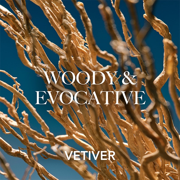 Vetiver