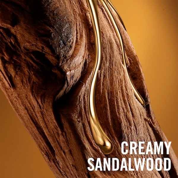 Zadig & Voltaire - ZADIG Intense