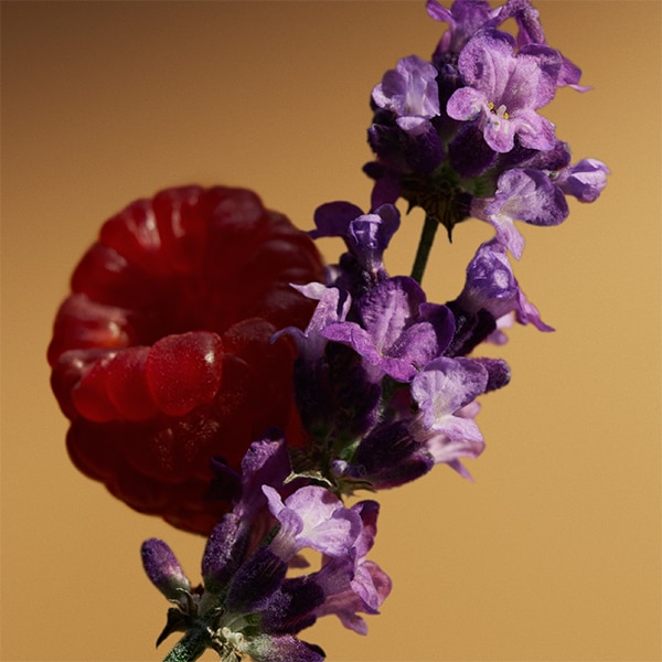 Burberry goddess parfum top note