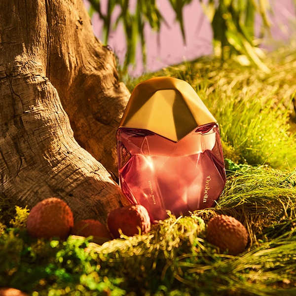 ETERNAL ROOTS PARFUM