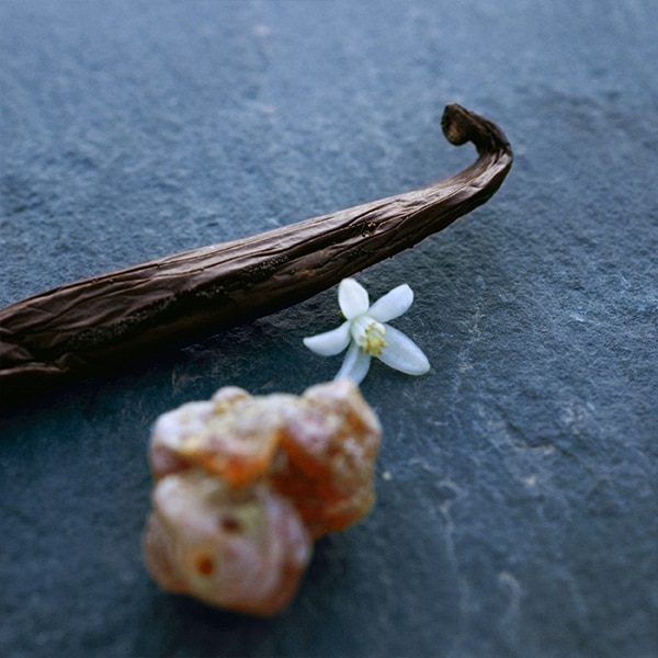 Nomade Nuit Fragrance Ingredients