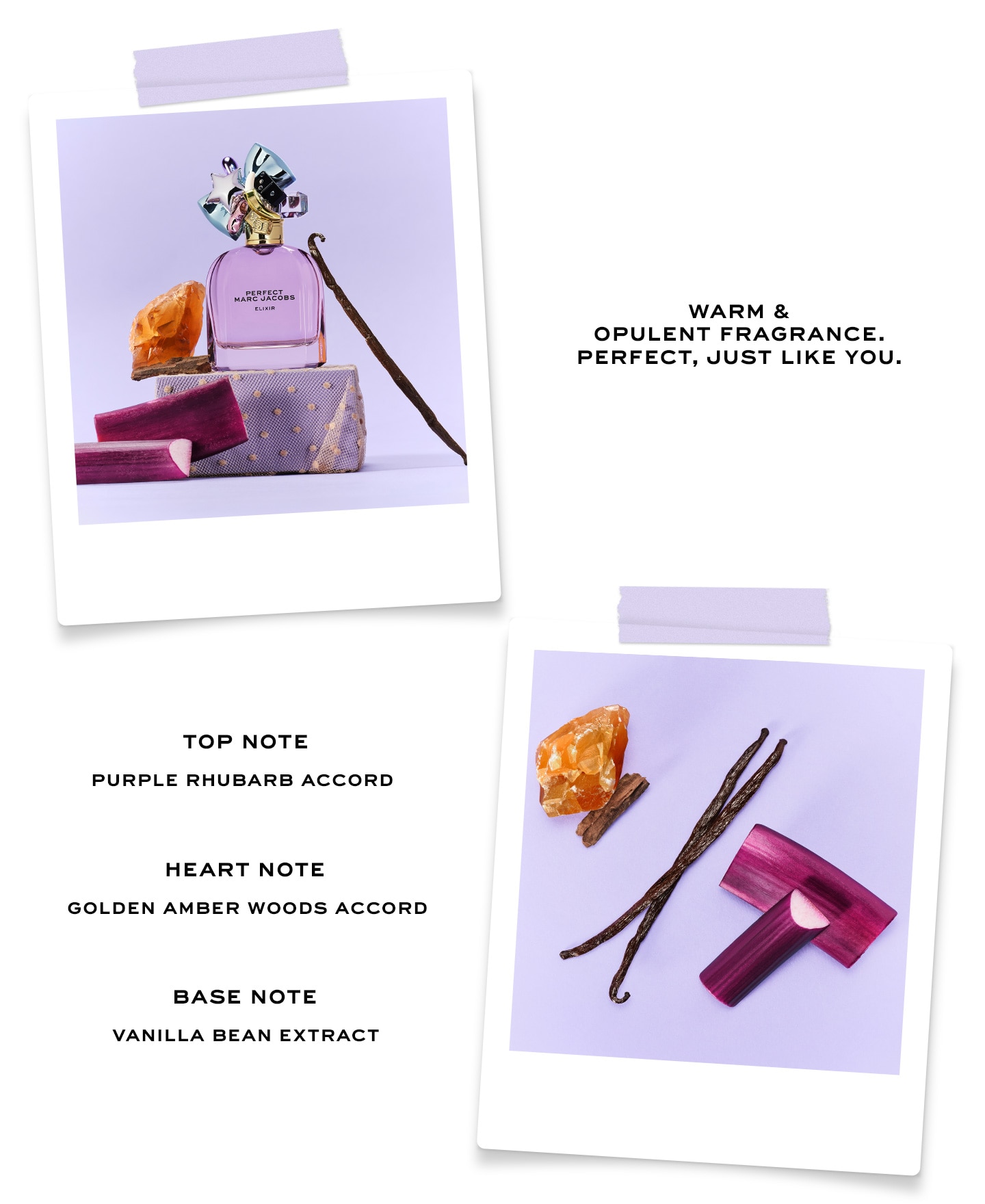 Marc Jacobs Perfect Elixir Ingredients