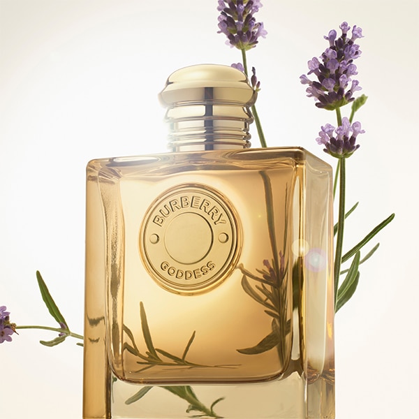 Burberry goddess intense top note