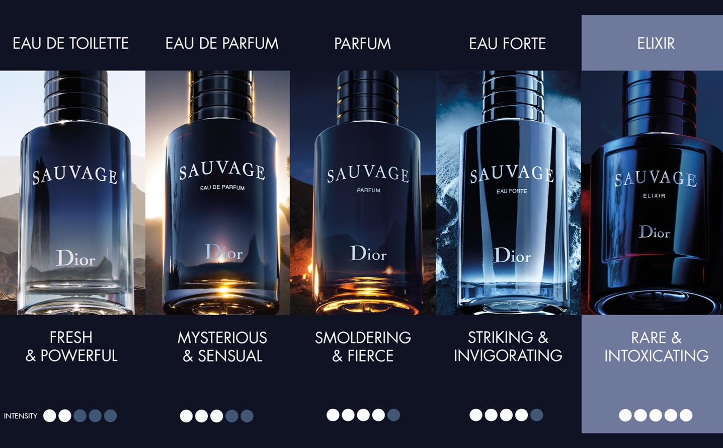 Sauvage comparison chat
