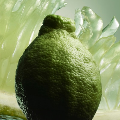 Unfolding on a fusing Calabrian Bergamot Heart and airy musks that uplifts the entire composition