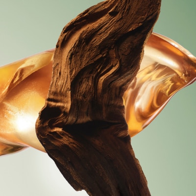 Opening on the warm sensuality of Ambery Woods composed of Peru Balm and Benzoin resin and vigorous Guaiac wood