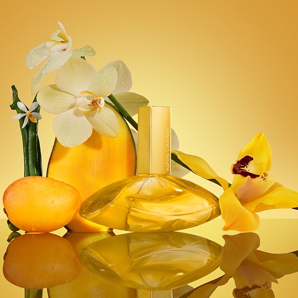 Magnetic Elixir The Scent