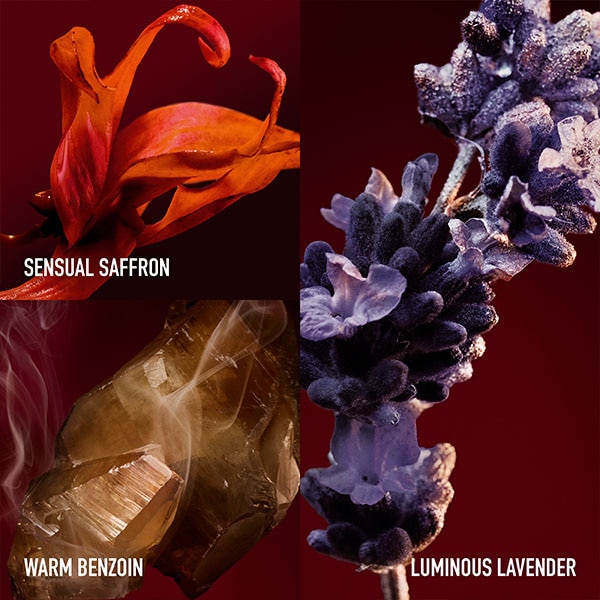 Ingredients description