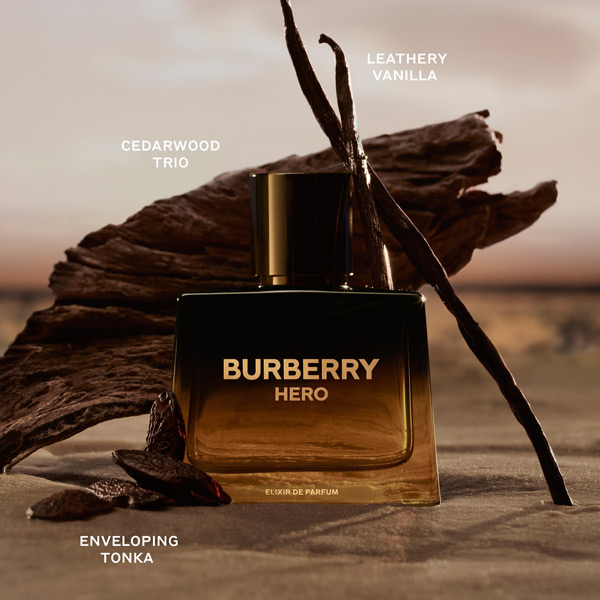 Burberry Hero Elixir fragrance ingredients infographic highlighting woody, amber and aromatic notes