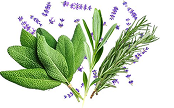 A bunch of herbs